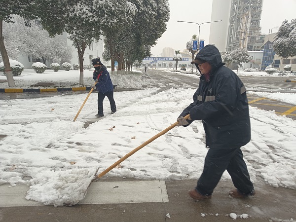 2024年1月15日，行政保衛(wèi)部組織人員在各主干道、人行道進行掃雪.jpg